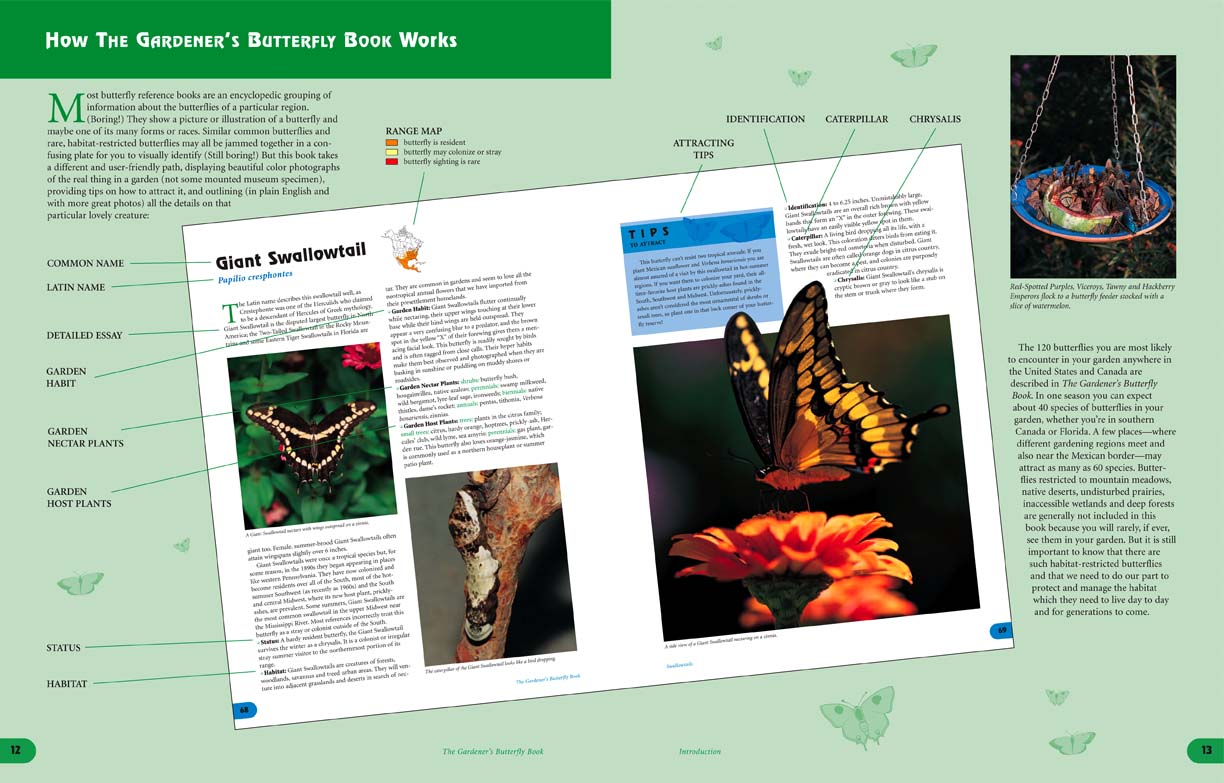 Butterfly Book