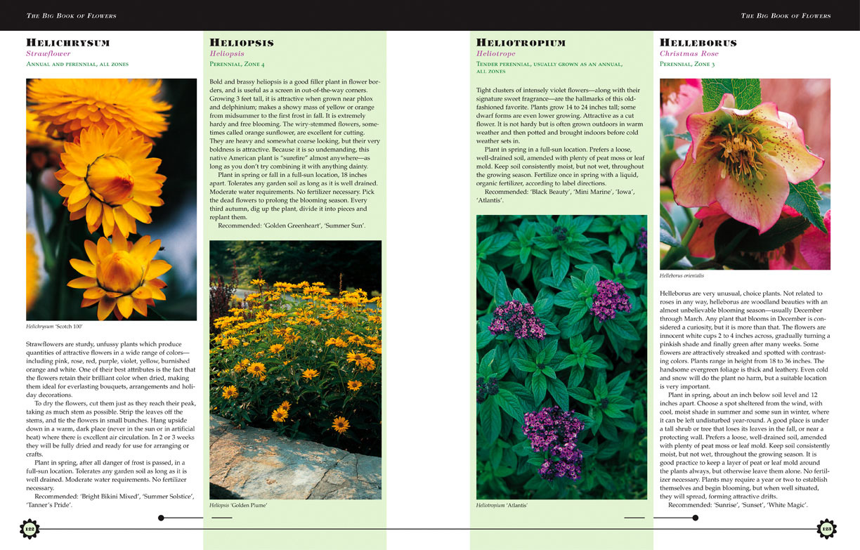 The Big Book of Flowers